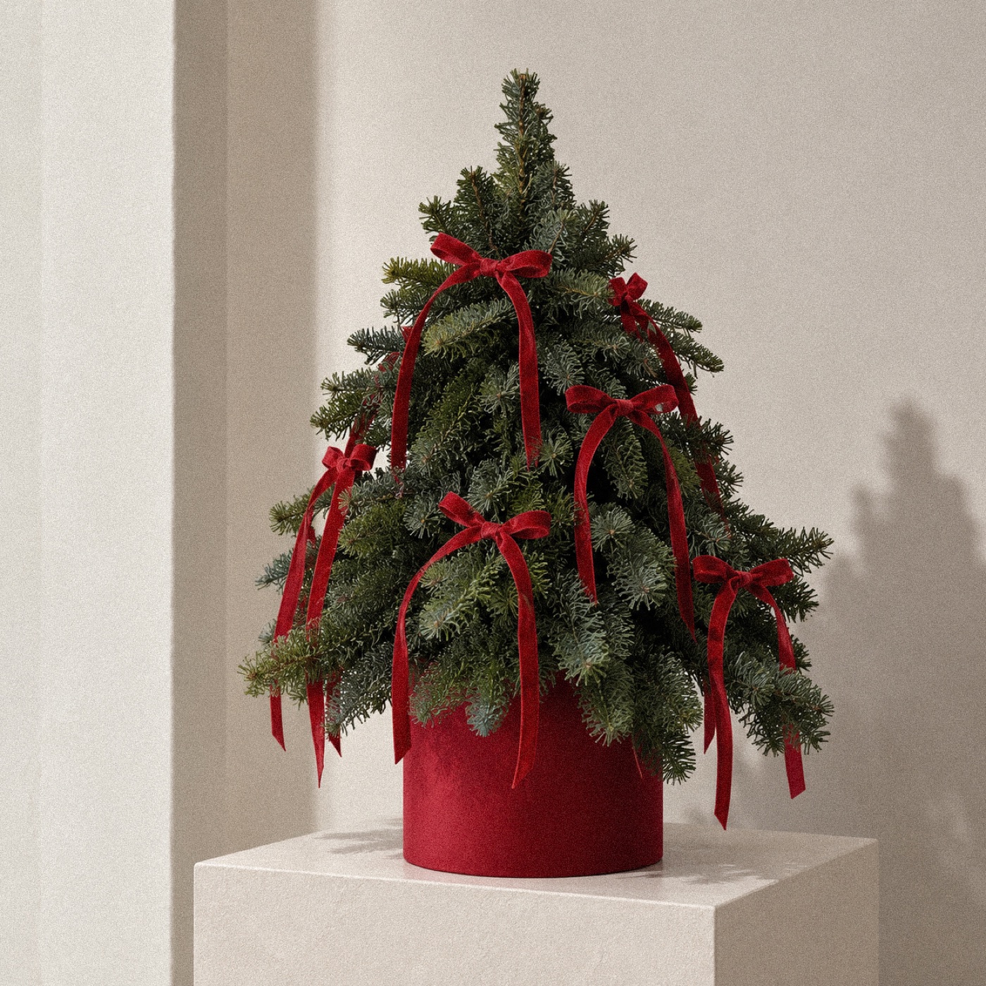 A tabletop Christmas tree in a burgundy pot with red velvet bows, by Maison Bloom, Bali