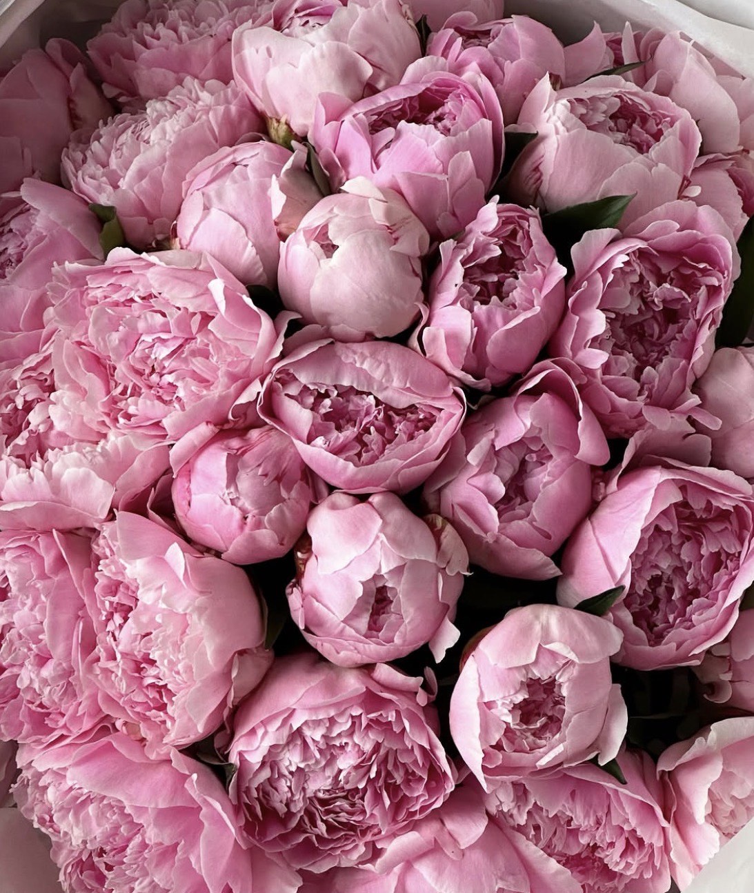Peonies — luxury pink peony bouquet by Maison Bloom, Bali